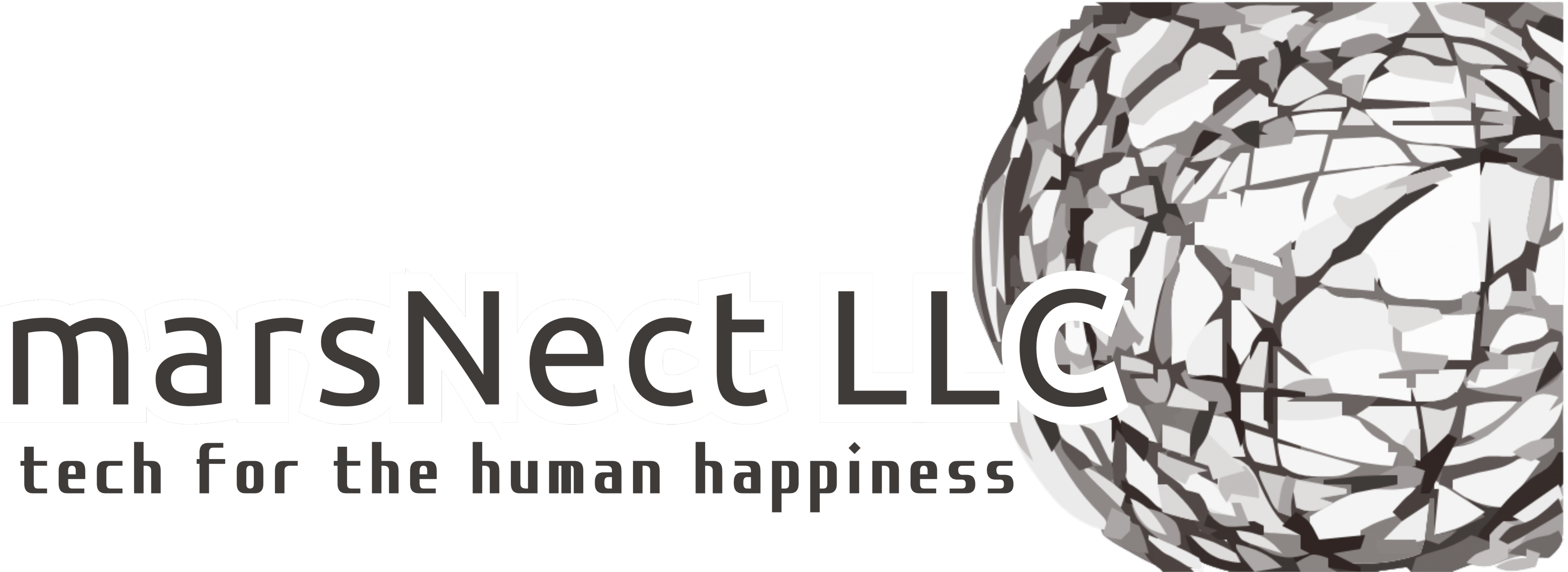 marsNect LLC 合同会社マーズネクト